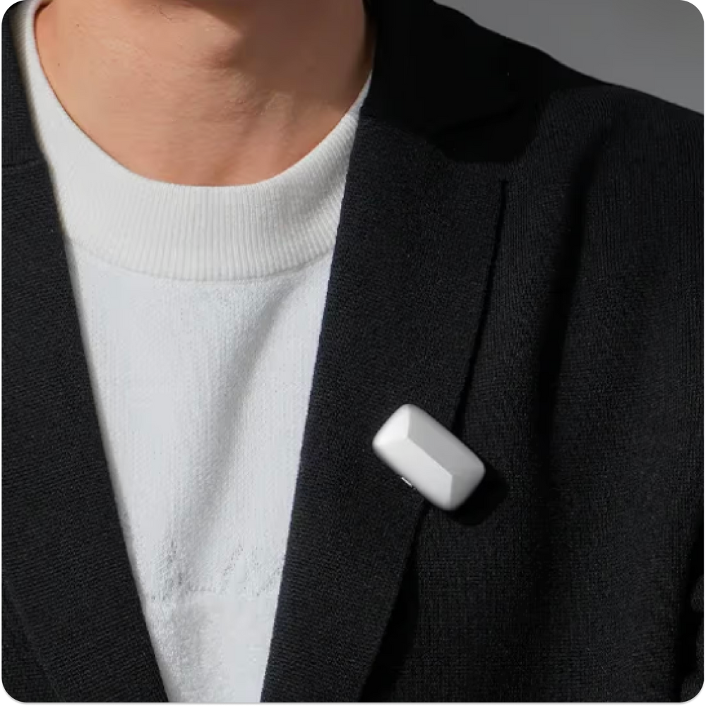 Ansteckclip